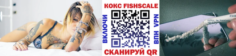 Cocaine FishScale  где можно купить наркотик  Мирный 