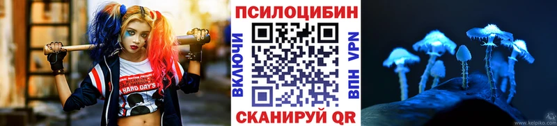 купить закладку Мирный Псилоцибиновые грибы Psilocybe
